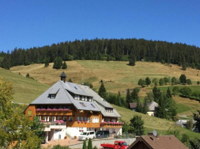 Отель Ferienwohnung-Schwarzwald-in-der-Pension-Gloecklehof, Тодтнау